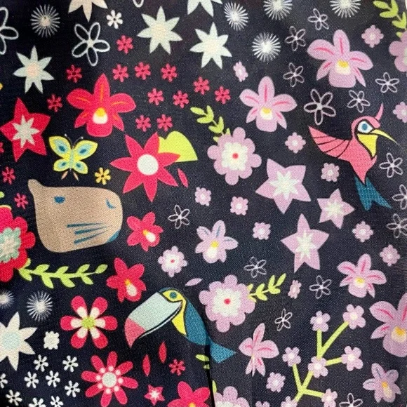 Disney Store Encanto Dress Girls 3T Butterflies Rainbows Toucans Capybaras Fall